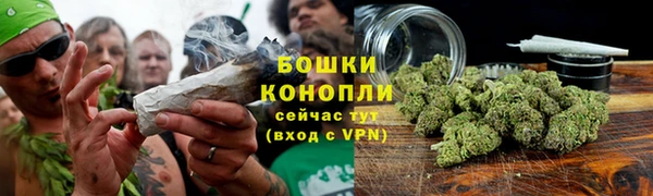 гидропоника Каменногорск