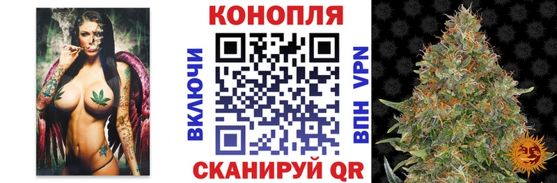 Каннабис планчик Кисловодск
